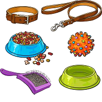 Collars and Leashes