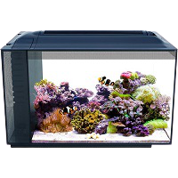 Housing and Aquariums