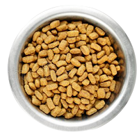 Dry Food