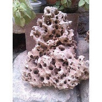 Rocks