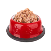 Wet Food